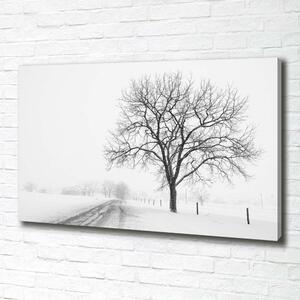 Tablou pe pânză canvas copac în timpul iernii