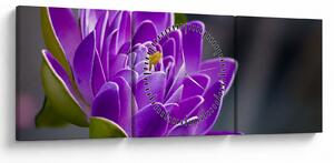 Tablou floarei (cu ceas) (90x30 cm)