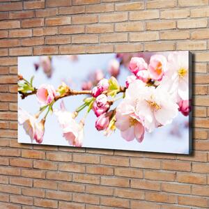 Tablou pe pânză canvas flori de cireș