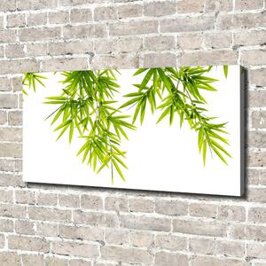 Tablou pe pânză canvas frunze de bambus