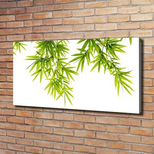 Tablou pe pânză canvas frunze de bambus