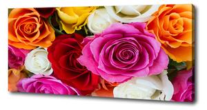 Tablou pe pânză canvas trandafiri colorați