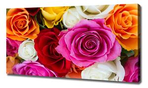 Tablou pe pânză canvas trandafiri colorați