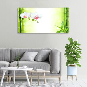 Tablou canvas Orhidee și bambus