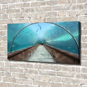 Print pe canvas Acvariul tunel