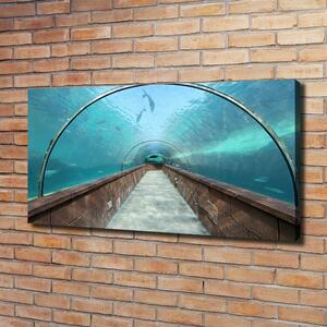 Print pe canvas Acvariul tunel