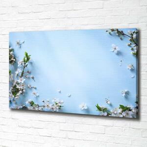 Tablou pe pânză canvas fundal Cherry flori