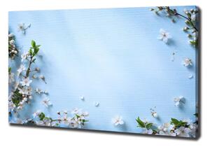 Tablou pe pânză canvas fundal Cherry flori