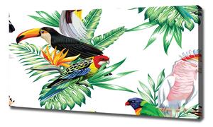 Tablou pe pânză păsări tropicale