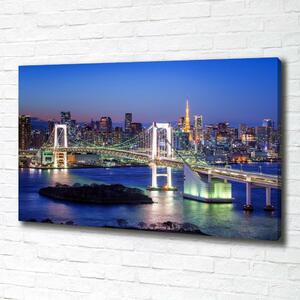 Tablou pe pânză Podul din Tokyo