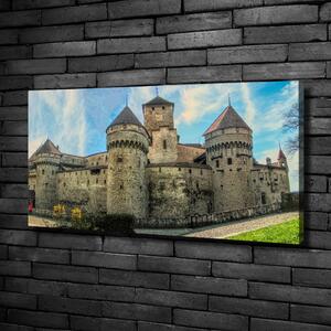 Tablou pe pânză canvas Castelul din Elveția