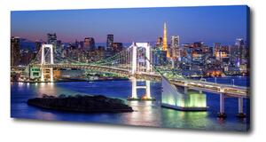 Tablou pe pânză Podul din Tokyo