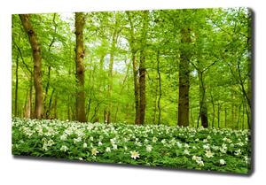 Tablou canvas Flori în pădure