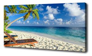 Tablouri tipărite pe pânză plaja tropicala
