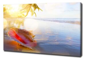 Tablouri tipărite pe pânză Seashell pe plaja