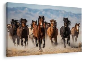 Tablou galop sălbatic al cailor prin peisaj