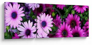 Tablou - Flori (cu ceas) (90x30 cm)