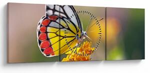Tablou - Fluture pe floare (cu ceas) (90x30 cm)