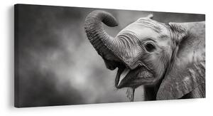 Tablou moment vesel cu elefant