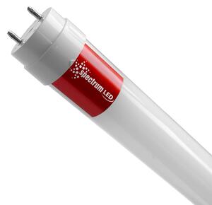Tub / lampă LED Warm White 60CM T8 230V 8,5W WOJ+22300