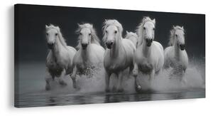 Tablou galop sălbatic al cailor albi