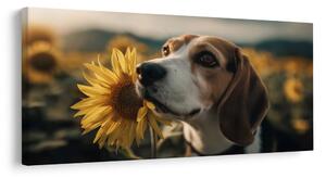 Tablou beagle cu floarea-soarelui