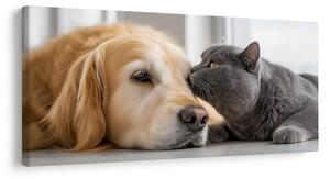 Tablou armonia animalelor de companie