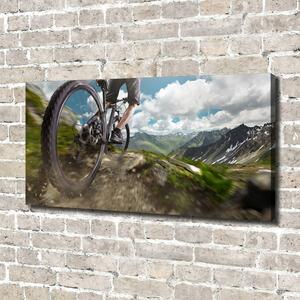 Imprimare tablou canvas ciclism montan