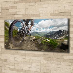 Imprimare tablou canvas ciclism montan
