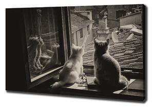 Pictură pe pânză Pisici de la fereastra