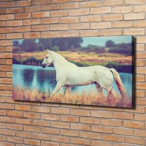 Tablou canvas White Lake Horse