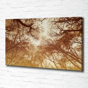 Imprimare tablou canvas pădure