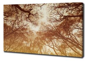 Imprimare tablou canvas pădure