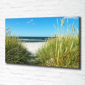 Tablou pe pânză canvas dune de coastă