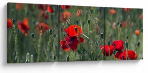 Tablou - Lunca cu maci (cu ceas) (90x30 cm)