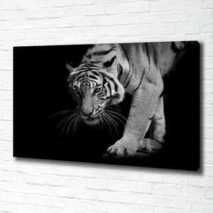 Tablou canvas Tigru