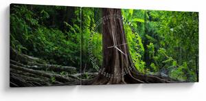 Tablou - Copac bătrîn cu rădăcini (cu ceas) (90x30 cm)