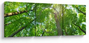 Tablou - Lunca (cu ceas) (90x30 cm)