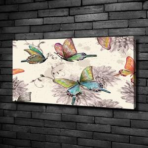 Tablou pe pânză canvas Fluturi și flori