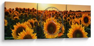 Tablou - Floarea soarelui (cu ceas) (90x30 cm)