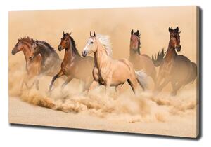 Tablou pe pânză cai deșert