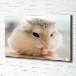 Pictură pe pânză Hamster