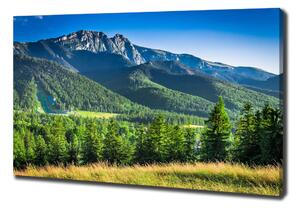 Tablou canvas Dealul din Tatra