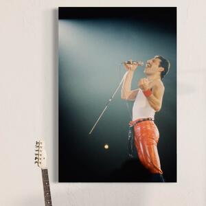 Tablou Canvas Premium LuxCanva® C1076, Freddie Mercury , Cantaret, Legenda, Freddie, Living Room, Office, Relaxare, Culori Vibrante