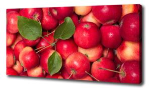 Tablou pe pânză mere roșii