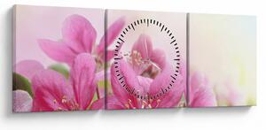 Tablou - Flori roz (cu ceas) (90x30 cm)