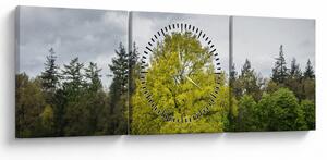 Tablou - Copac verde în câmp (cu ceas) (90x30 cm)