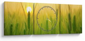 Tablou - Câmp cu cereale (cu ceas) (90x30 cm)
