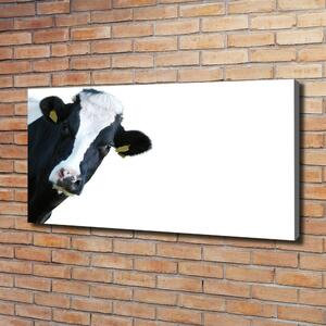 Tablou pe pânză canvas Vacă