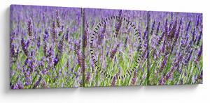Tablou - Lavandă în câmp (cu ceas) (90x30 cm)